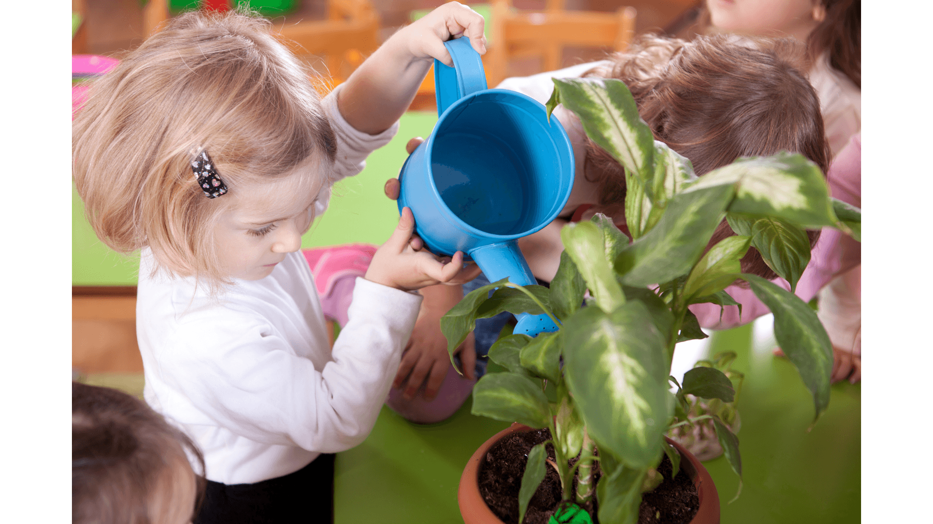 Bahçe Aktiviteleri
